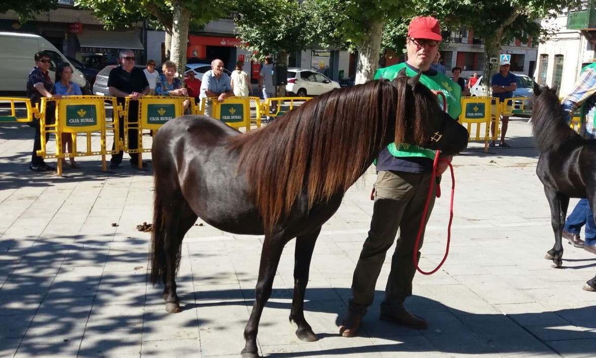 ASTURCONES EN LLANES